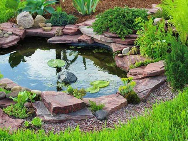 Các bước giúp bạn tự làm hồ cá mini xinh xắn cho khu vườn nhà bạn