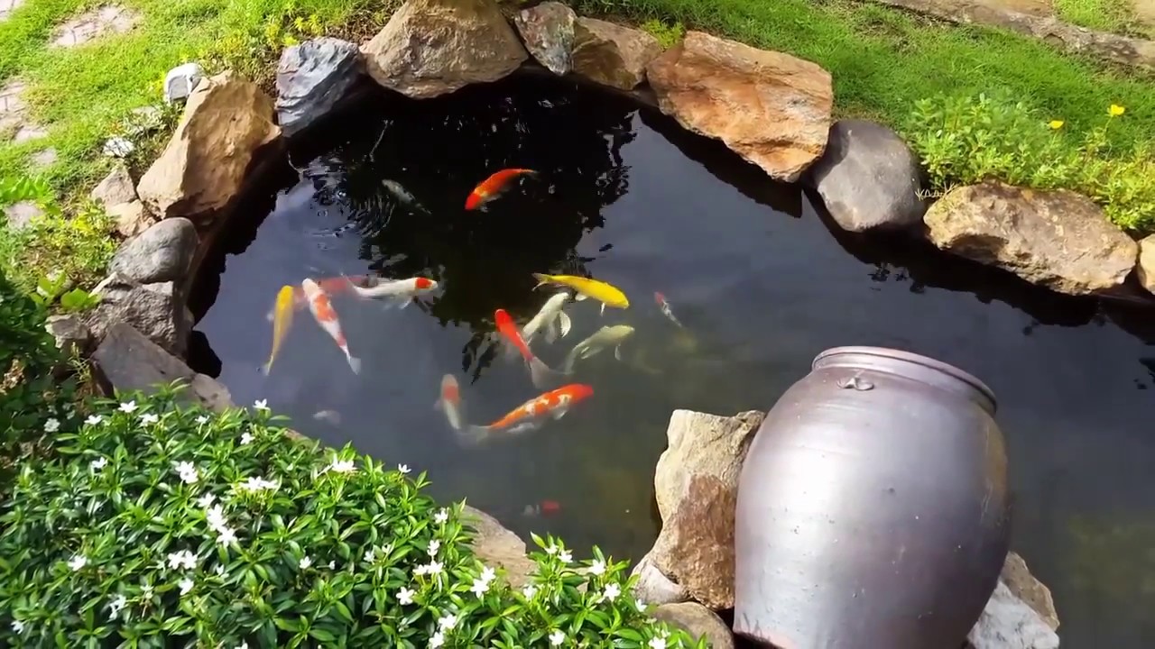 Sử dụng hồ cá để tạo sự chuyển động cho khu vườn