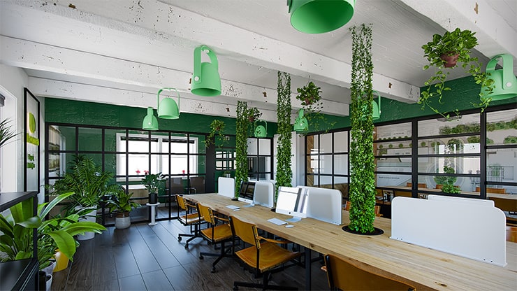Cây xanh trồng văn phòng 